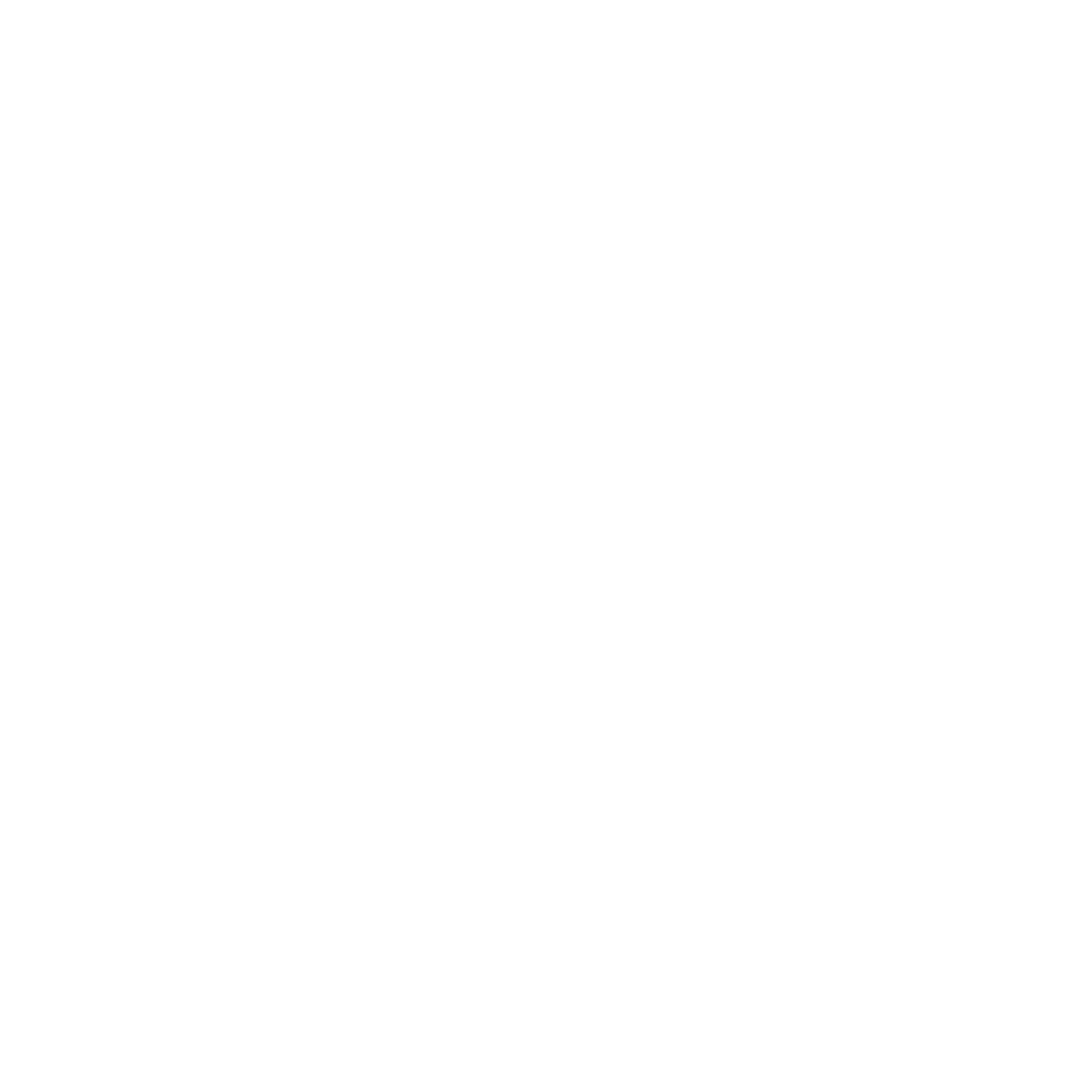 LOGO_HOUSE_WHITE_NO_BACKGROUND_color_RGB